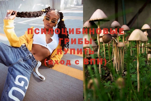гидропоника Струнино